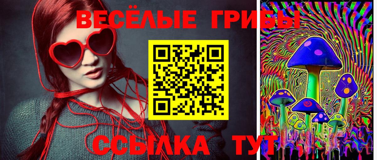 Галлюциногенные грибы мицелий  Вход с VPN  Михайловка 